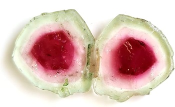 Natural Watermelon Tourmaline Bio Slice