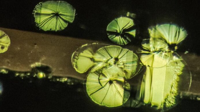 Disk-Like Fracture Inclusions In Peridot Called Lily Pads