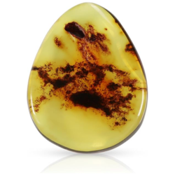 Natural Amber Cabochon Fancy Shape Loose Gemstone